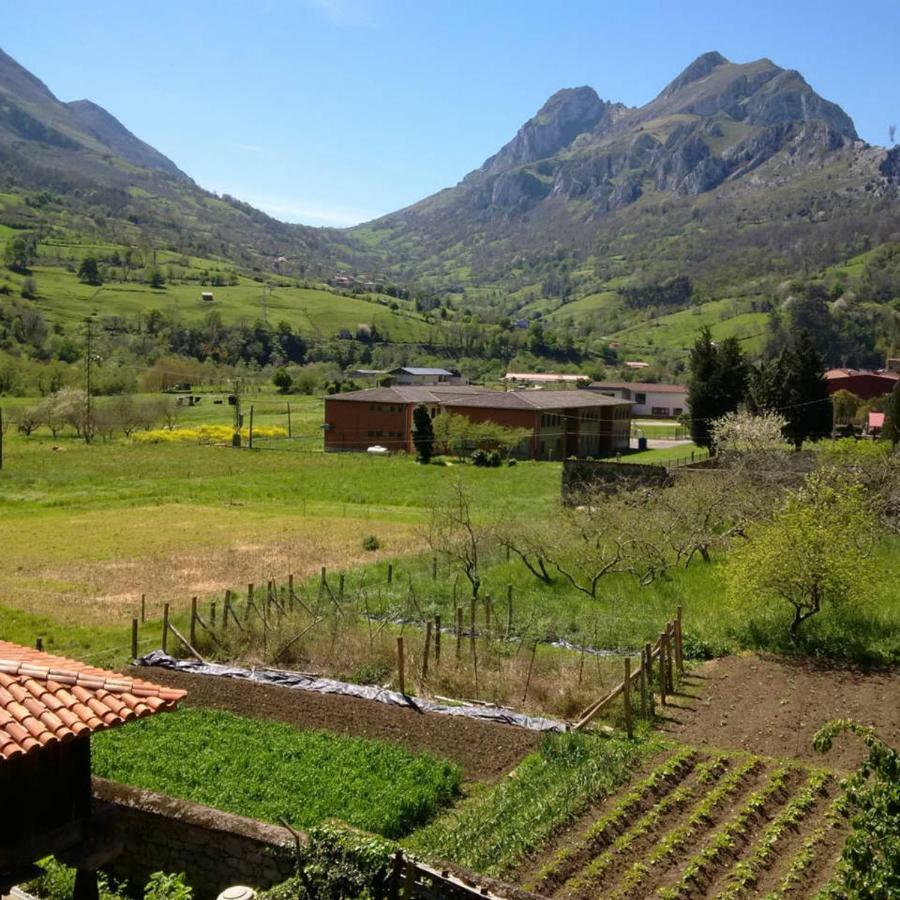 Tu Casita De La Senda Del Oso Βίλα Proaza Εξωτερικό φωτογραφία